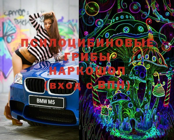 бошки Абаза