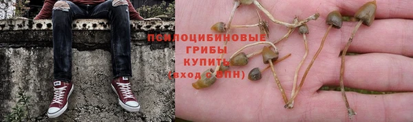 индика Абинск