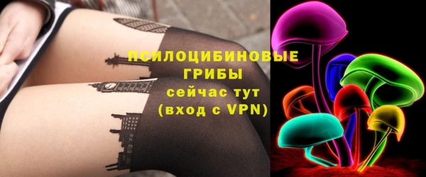 бошки Абаза