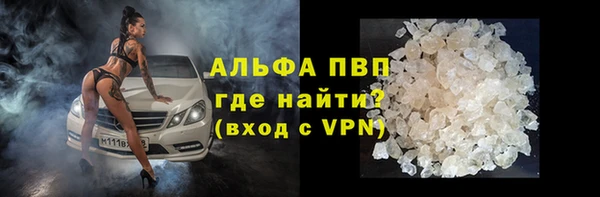 индика Абинск