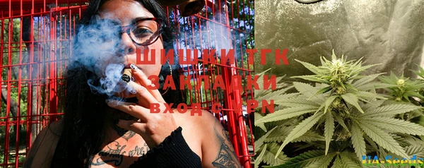 прущий лед Алзамай
