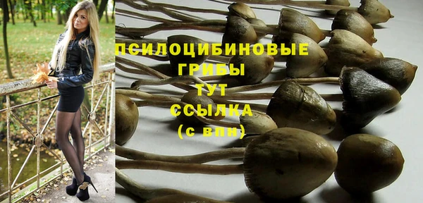 бошки Абаза