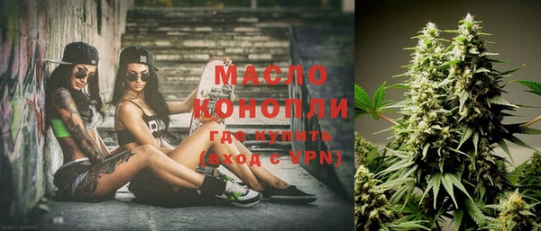 индика Абинск