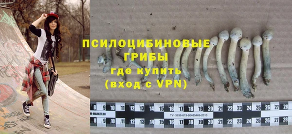индика Абинск