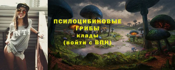 индика Абинск