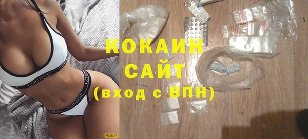 индика Абинск