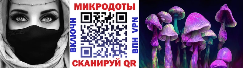Псилоцибиновые грибы Psilocybine cubensis  Киренск 
